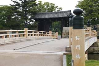 photo, la matire, libre, amnage, dcrivez, photo de la rserve,Himeji-jo chteau Ote-mon porte, Quatre Chteau des trsors national, Le pont de la porte de l'arbre de la cerise, Shigetaka Kuroda, Hideyoshi Hashiba