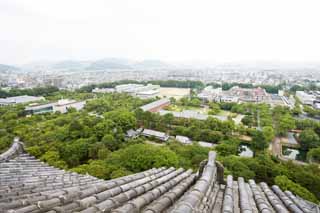 fotografia, materiale, libero il panorama, dipinga, fotografia di scorta,Lo scenario da Himeji-jo il Castello, Quattro tesori nazionali Arroccano, Sadanori Akamatsu, Shigetaka Kuroda, Hideyoshi Hashiba