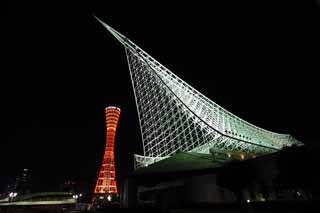 foto,tela,gratis,paisaje,fotografa,idea,Noche del puerto de Kobe, Museo de ocano de Kobe, Torre de puerto, Barco de recreo, Atraccin turstica