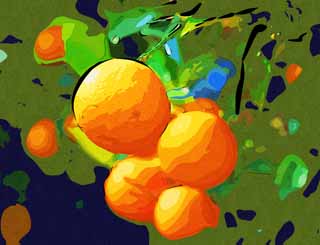 illust, materiell, befreit, Landschaft, Bild, Gemlde, Farbbleistift, Wachsmalstift, Zeichnung,,Eine hassaku-Orange, Zitrusfrchte, , Frucht, Mandarinenorange