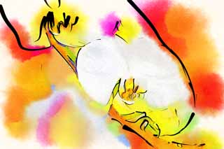 Illust, materieel, vrij, landschap, schilderstuk, schilderstuk, kleuren potlood, crayon, werkje,Orchidee graminifolia, Een orchidee, , , Orchidee graminifolia