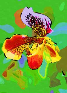 illust, material, livram, paisagem, quadro, pintura, lpis de cor, creiom, puxando,Paphiopedilum, Uma orqudea, , , 