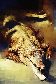 illust, material, livram, paisagem, quadro, pintura, lpis de cor, creiom, puxando,Africano esbelto-snouted crocodilo, crocodilo, , , Rpteis