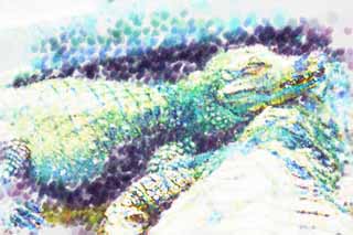 illust,tela,gratis,paisaje,fotografa,idea,pintura,Lpiz de color,dibujo,Un cocodrilo de siesta, Cocodrilo, , , Reptiles