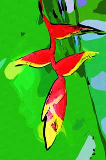 illust, matire, libre, paysage, image, le tableau, crayon de la couleur, colorie, en tirant,heliconia, Rouge, La zone tropique, Tropique, Je suis magnifique