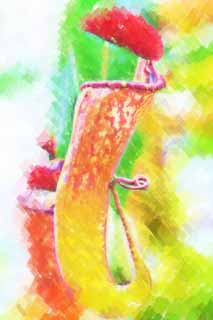 illust, materiell, befreit, Landschaft, Bild, Gemlde, Farbbleistift, Wachsmalstift, Zeichnung,,Eine Krugpflanze, Ein Insektenfresser, , Hauspflanze, Die tropische Zone