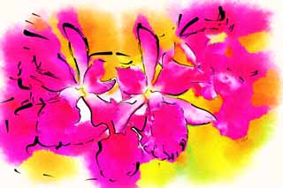 illust, materiell, befreit, Landschaft, Bild, Gemlde, Farbbleistift, Wachsmalstift, Zeichnung,,Eine rote Orchidee, Orchidee, , Eine Orchidee, Gartenarbeit