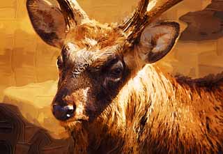 illustration,material,free,landscape,picture,painting,color pencil,crayon,drawing,Yezo deer, Japanese deer, deer, , 