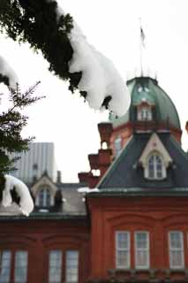 Foto, materieel, vrij, landschap, schilderstuk, bevoorraden foto,Sneeuw en Hokkaido agentuur, De sneeuw, Ht rime op de bomen, De boom van de den, Hokkaido