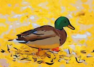 illustration,material,free,landscape,picture,painting,color pencil,crayon,drawing,A mallard, duck, , , ginkgo