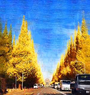 illust, materiale, libero panorama, ritratto dipinto, matita di colore disegna a pastello, disegnando,Una fila di ginkgo orto ed esterna di alberi, ginkgo, , Giallo, albero della strada