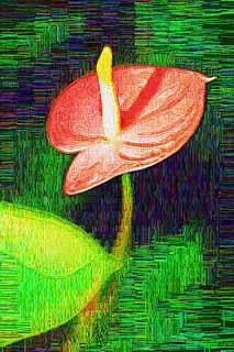 illust, materiell, befreit, Landschaft, Bild, Gemlde, Farbbleistift, Wachsmalstift, Zeichnung,,Ein anthurium, Die tropische Zone, Taro, Ein anthurium, Bltenscheide