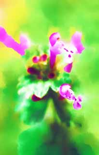 ,  , , , ,   ,  , ,, ,   , , 