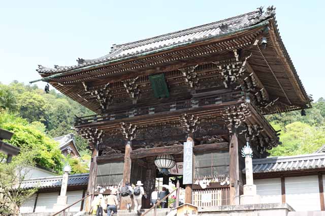 foto,tela,gratis,paisaje,fotografa,idea,La puerta de Deva de Hase - templo de dera, Mikado, El Kannon, Fiel, Mitera de la flor