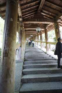 Foto, materieel, vrij, landschap, schilderstuk, bevoorraden foto,Ht boven corridor van Hase-dera Tempel, Corridor, Trap, Worshiper, Mitera van de bloem