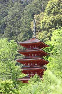 fotografia, material, livra, ajardine, imagine, proveja fotografia,Cinco pagode de Storeyed de templo de Hase-dera, Eu sou pintado em vermelho, edifcio de madeira, Chaitya, Mitera da flor