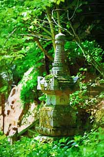 illust,tela,gratis,paisaje,fotografa,idea,pintura,Lpiz de color,dibujo,La torre para el reposo de las almas de Hase - templo de dera, Torre para el reposo de las almas, Moss, Chaitya, Mitera de la flor