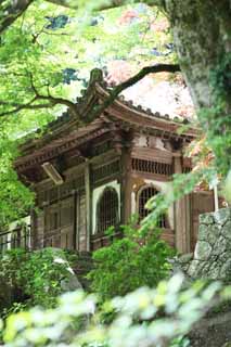 Foto, materiell, befreit, Landschaft, Bild, hat Foto auf Lager,Der Schrein, in dem ins Bild des Grnders von Hase-dera Temple installiert wird, Blume leitende-Fenster, hlzernes Gebude, Chaitya, Mitera der Blume