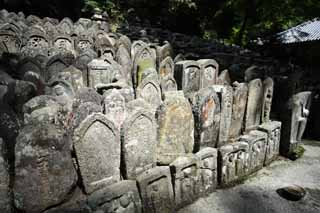 fotografia, materiale, libero il panorama, dipinga, fotografia di scorta,Ishibotoke del tempio di Hase-dera, servizio commemorativo, Ishibotoke, Chaitya, Mitera del fiore