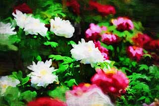 ,,, ,,,   , ,.  

  Hase-dera ,  ., .,  ., Mitera .
