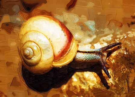 illustration,material,free,landscape,picture,painting,color pencil,crayon,drawing,A snail, snail, , conch, 