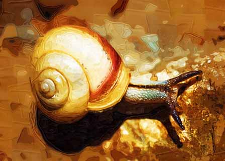 illustration,material,free,landscape,picture,painting,color pencil,crayon,drawing,A snail, snail, , conch, 