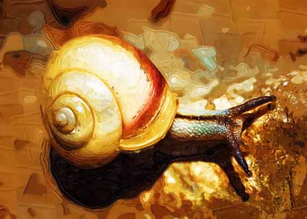 illust, matire, libre, paysage, image, le tableau, crayon de la couleur, colorie, en tirant,Un escargot, escargot, , conque, 