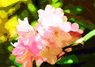 illust, materiell, befreit, Landschaft, Bild, Gemlde, Farbbleistift, Wachsmalstift, Zeichnung,,Ein Rhododendron, , Eine Azalee, Ich bin prchtig, Masami