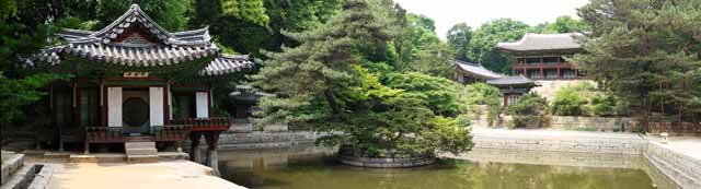 fotografia, materiale, libero il panorama, dipinga, fotografia di scorta,Una pergola di rosa di cotone, La Corte Imperiale l'architettura, tegola, Io sono dipinto in rosso, eredit di mondo