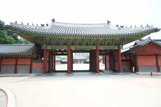 photo,material,free,landscape,picture,stock photo,Creative Commons,Sudjunmun Gate, The Imperial Court architecture, tile, Reja, world heritage