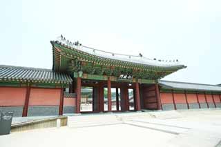 photo,material,free,landscape,picture,stock photo,Creative Commons,The benevolent administration gate, The Imperial Court architecture, I am painted in red, An imperial villa, world heritage