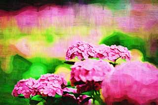 illustration,material,free,landscape,picture,painting,color pencil,crayon,drawing,Say Yaw hydrangea, hydrangea, , , The rainy season