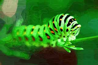 illust,tela,gratis,paisaje,fotografa,idea,pintura,Lpiz de color,dibujo,La larva del swallowtail amarillo comn, Mariposa, , Oruga verde, 