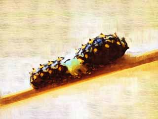 illustration,material,free,landscape,picture,painting,color pencil,crayon,drawing,The larva of the common yellow swallowtail, butterfly, , green caterpillar, 