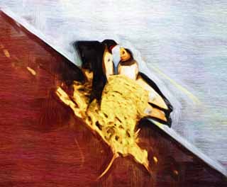 illust, materiale, libero panorama, ritratto dipinto, matita di colore disegna a pastello, disegnando,Il giovane uccello della rondine, rondine, , , nido