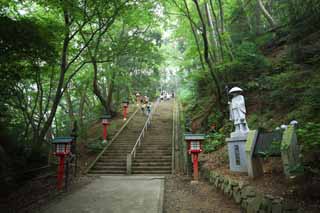 fotografia, materiale, libero il panorama, dipinga, fotografia di scorta,Una pista di montagna di Mt. Takao, L'ascetico pratica il Grande Insegnante, Montagna scalando, Andando in gita, foresta