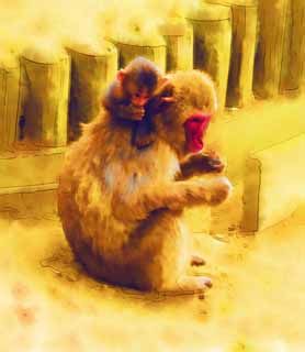 illustration,material,free,landscape,picture,painting,color pencil,crayon,drawing,Parent and child of the Japanese monkey, monkey, , Japanese monkey, 