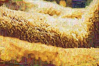 illustration,material,free,landscape,picture,painting,color pencil,crayon,drawing,Natural wool, sheep, , , Wool