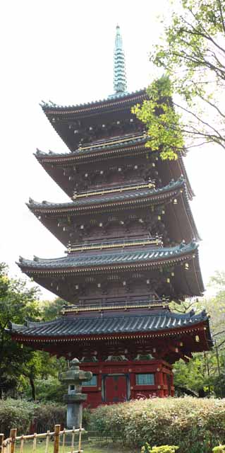 Foto, materiell, befreit, Landschaft, Bild, hat Foto auf Lager,Kanei-ji-Tempel fnf Storeyed-Pagode, Buddhismus, Fnf Storeyed-Pagode, Chaitya, Ich werde in roten gemalt