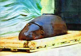 illust, , , , , ,  ,  , .,pygmy hippopotamus, hippopotamus, Hippo, , nap