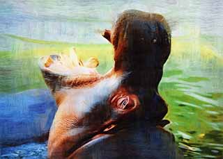 illust, matire, libre, paysage, image, le tableau, crayon de la couleur, colorie, en tirant,Un hippopotame, hippopotame, Hippopotame, Amabilit, paissant animal