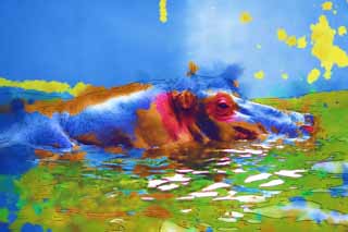 illust, matire, libre, paysage, image, le tableau, crayon de la couleur, colorie, en tirant,Un hippopotame, hippopotame, Hippopotame, Amabilit, paissant animal