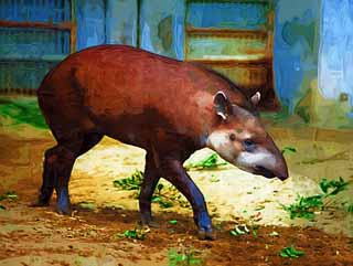 illust, materiell, befreit, Landschaft, Bild, Gemlde, Farbbleistift, Wachsmalstift, Zeichnung,,Ein amerikanischer Tapir, Tapir, Traum, Ein Ohr, Schlfrigkeit