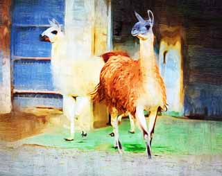 illust, matire, libre, paysage, image, le tableau, crayon de la couleur, colorie, en tirant,Un lama, , Lgret, , animal domestique