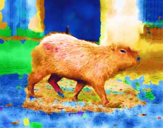 illust, materiell, befreit, Landschaft, Bild, Gemlde, Farbbleistift, Wachsmalstift, Zeichnung,,Flussschwein, Flussschwein, Maus, , 