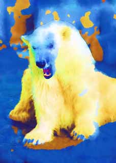 illust,tela,gratis,paisaje,fotografa,idea,pintura,Lpiz de color,dibujo,Un oso blanco, Oso, Oso blanco, Oso de margen, Ferocidad