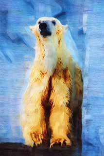 illust, materiale, libero panorama, ritratto dipinto, matita di colore disegna a pastello, disegnando,Un orso bianco, orso, orso bianco, orso di margine, Ferocia