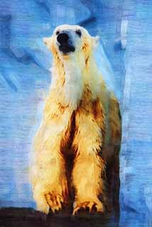 illust, matire, libre, paysage, image, le tableau, crayon de la couleur, colorie, en tirant,Un ours blanc, ours, ours blanc, ours de la marge, Frocit