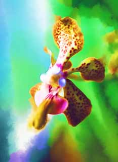 ,,, ,,,   , ,.  

 Vanda Collor, ., .,   ., 