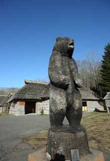 photo, la matire, libre, amnage, dcrivez, photo de la rserve,Le bois qui sculpte de l'ours, ours, , , Ainu